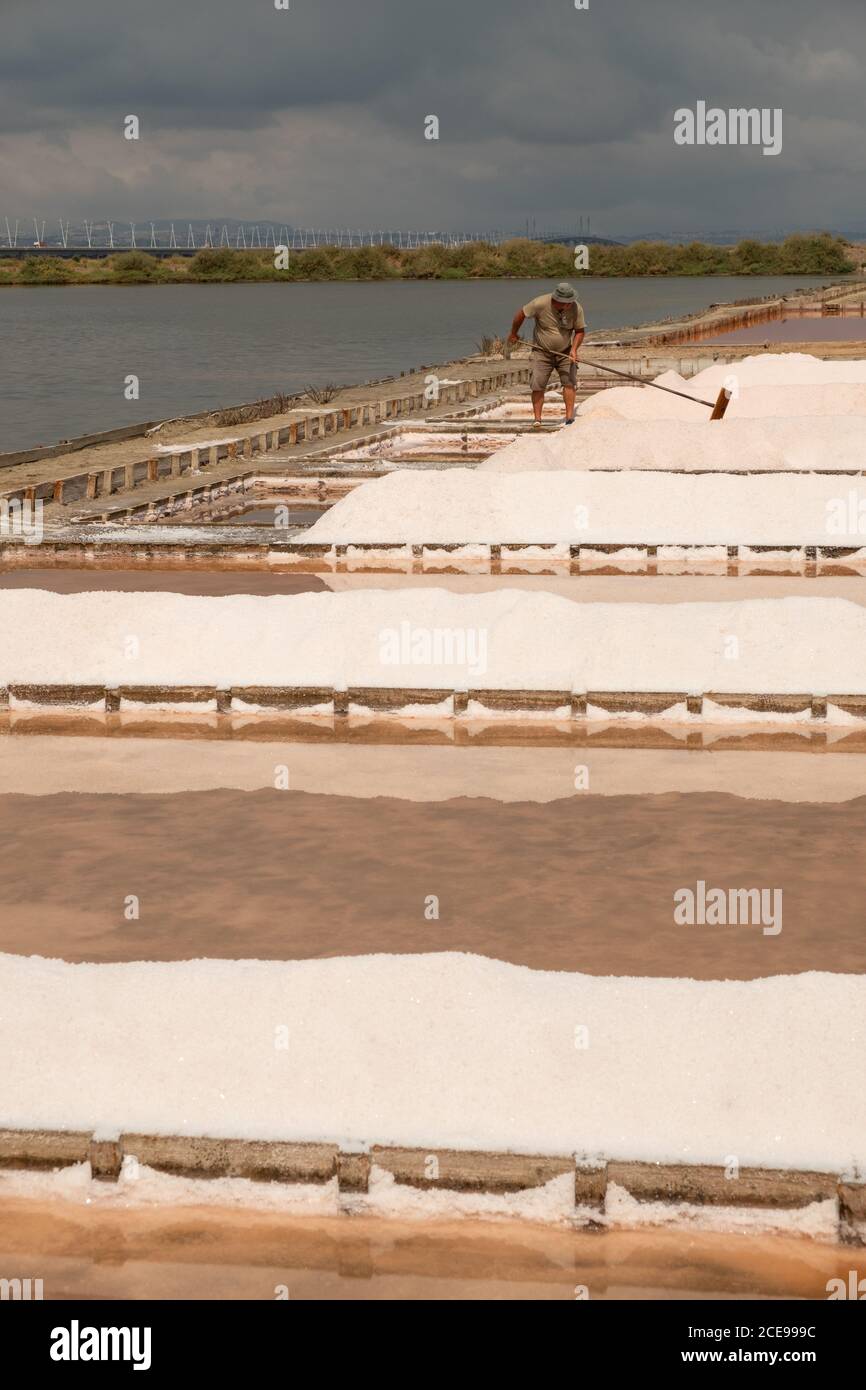 The last and only artisanal salina in production at Salinas do Samouco on the Tagus Estuary Natural Reserve, in Alcochete, Portugal. Stock Photo