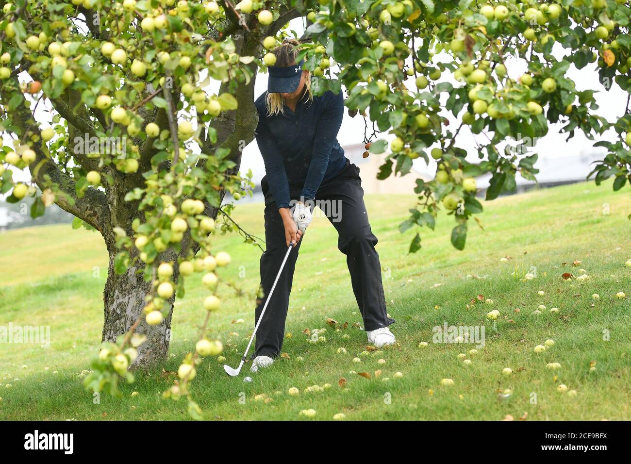 Beroun ladies european tour hires stock photography and images Alamy