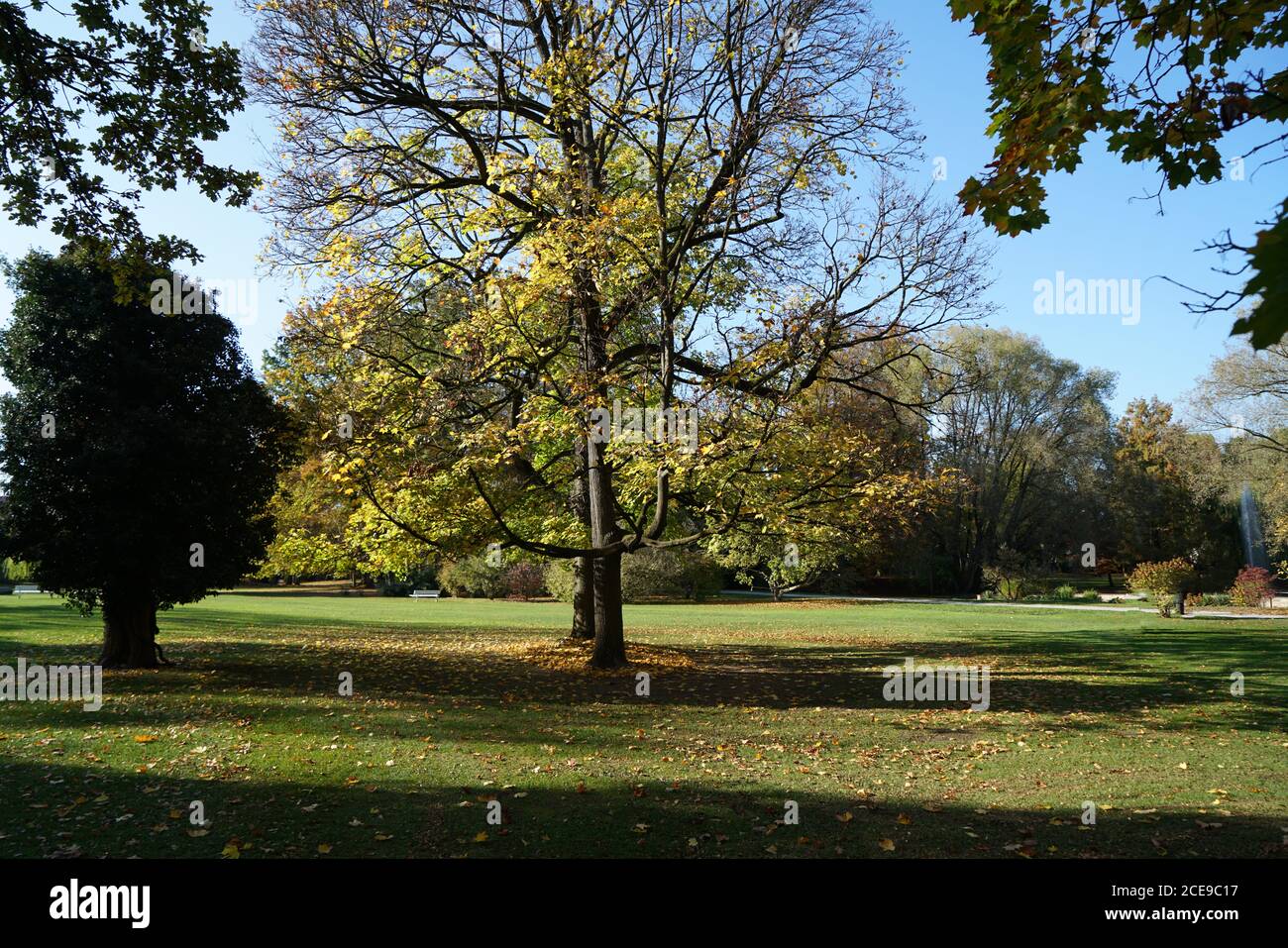 Beautiful shot park light hi-res stock photography and images - Alamy