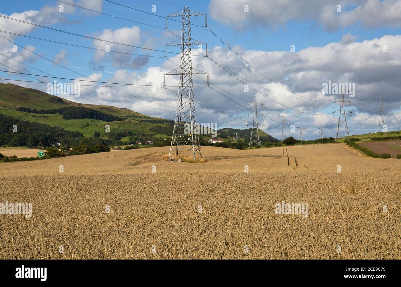 Cereal crop yield and climate hires stock photography and images Alamy