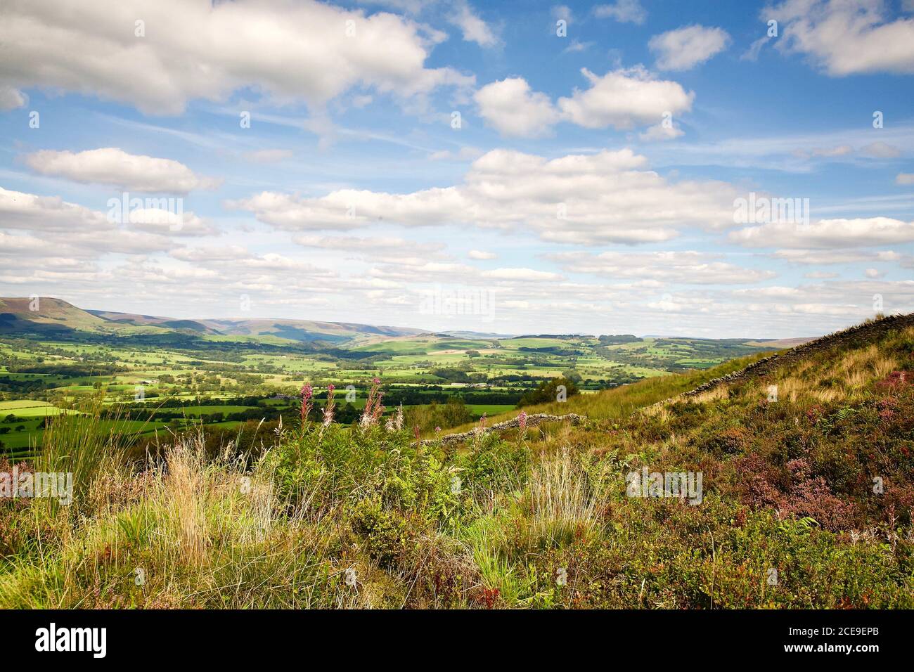 Ribble Valley from Jeffry Hill, late August Lancashire Stock Photo - Alamy