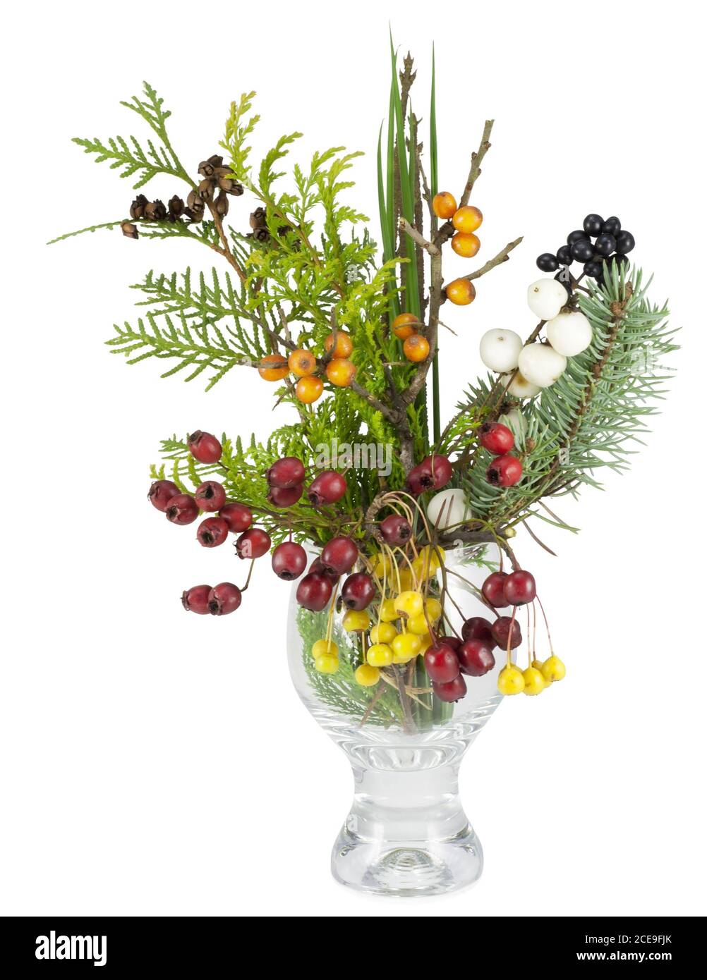 Christmas bouquet with wild wood berries isolated Stock Photo