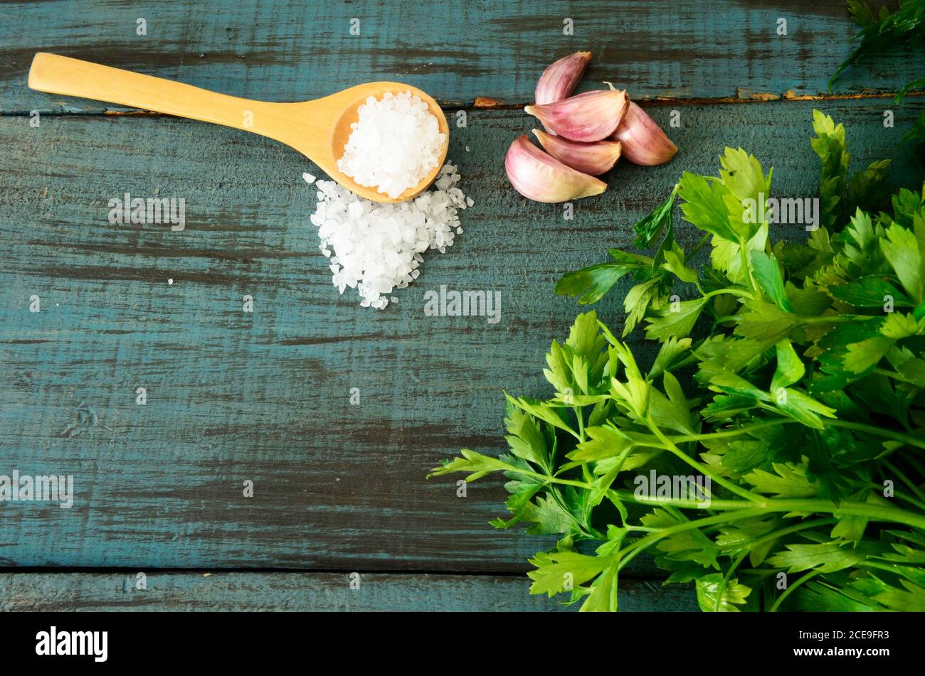 salsa ingredients, garlic, coriander, serrano chilli, garlic cloves, sea salt and pepper, mexican salsa Stock Photo