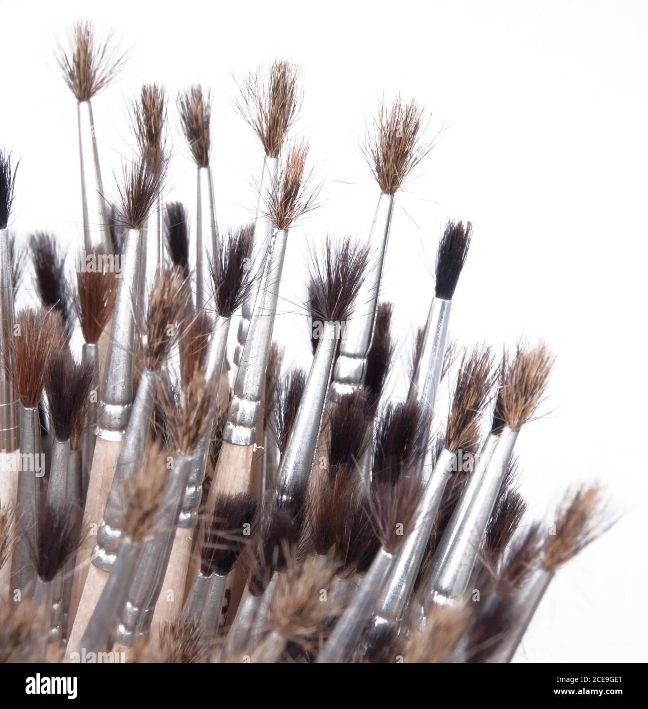 Squirrel hair brush hires stock photography and images Alamy