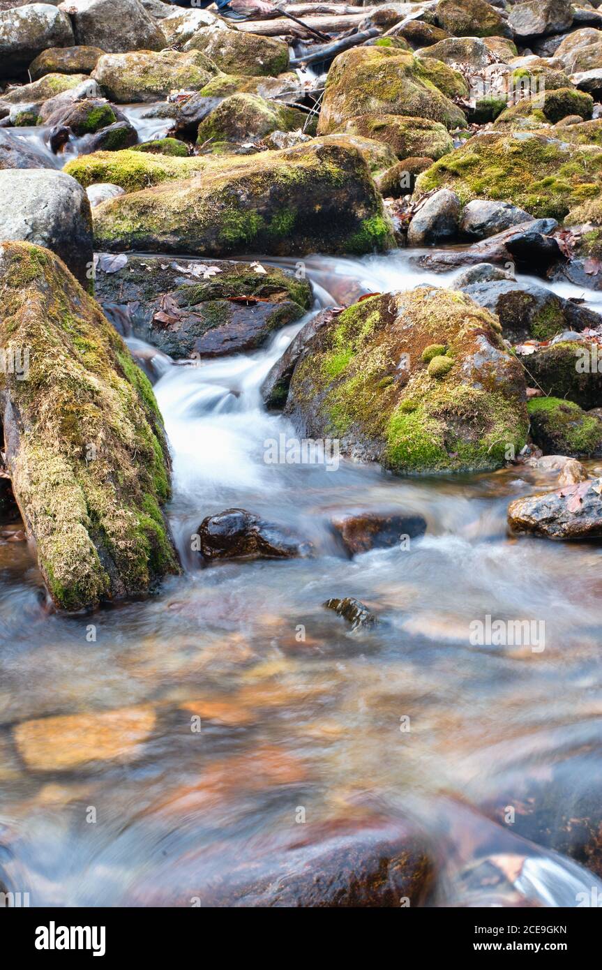 Wood stream Stock Photo