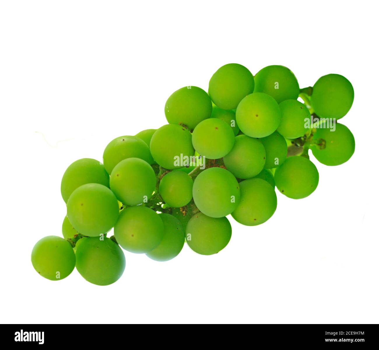 A bunch of green grapes Stock Photo