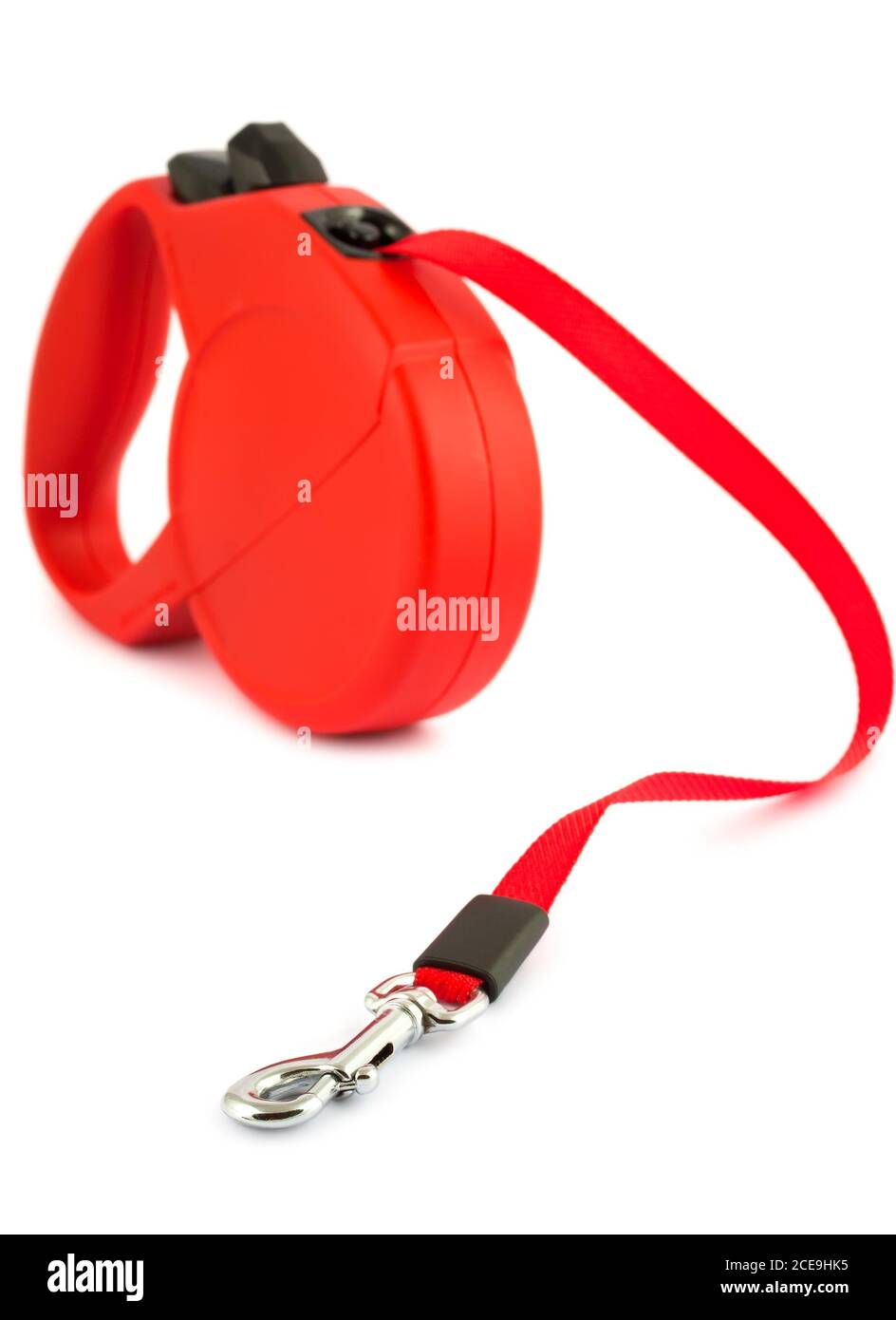 Red retractable leash for dog Stock Photo