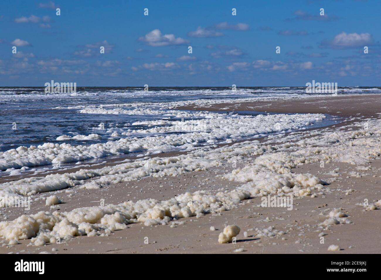 Sea foam / beach foam / spume, created by the agitation of seawater and offshore breakdown of algal blooms, washed up / blown onto the beach in spring Stock Photo
