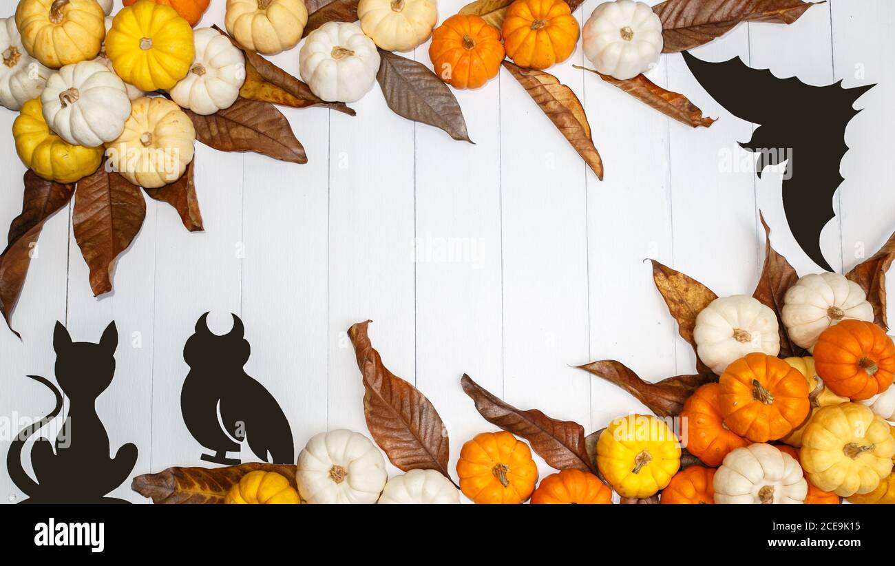 Halloween background with pumpkins, black cats and a black paper bats ...