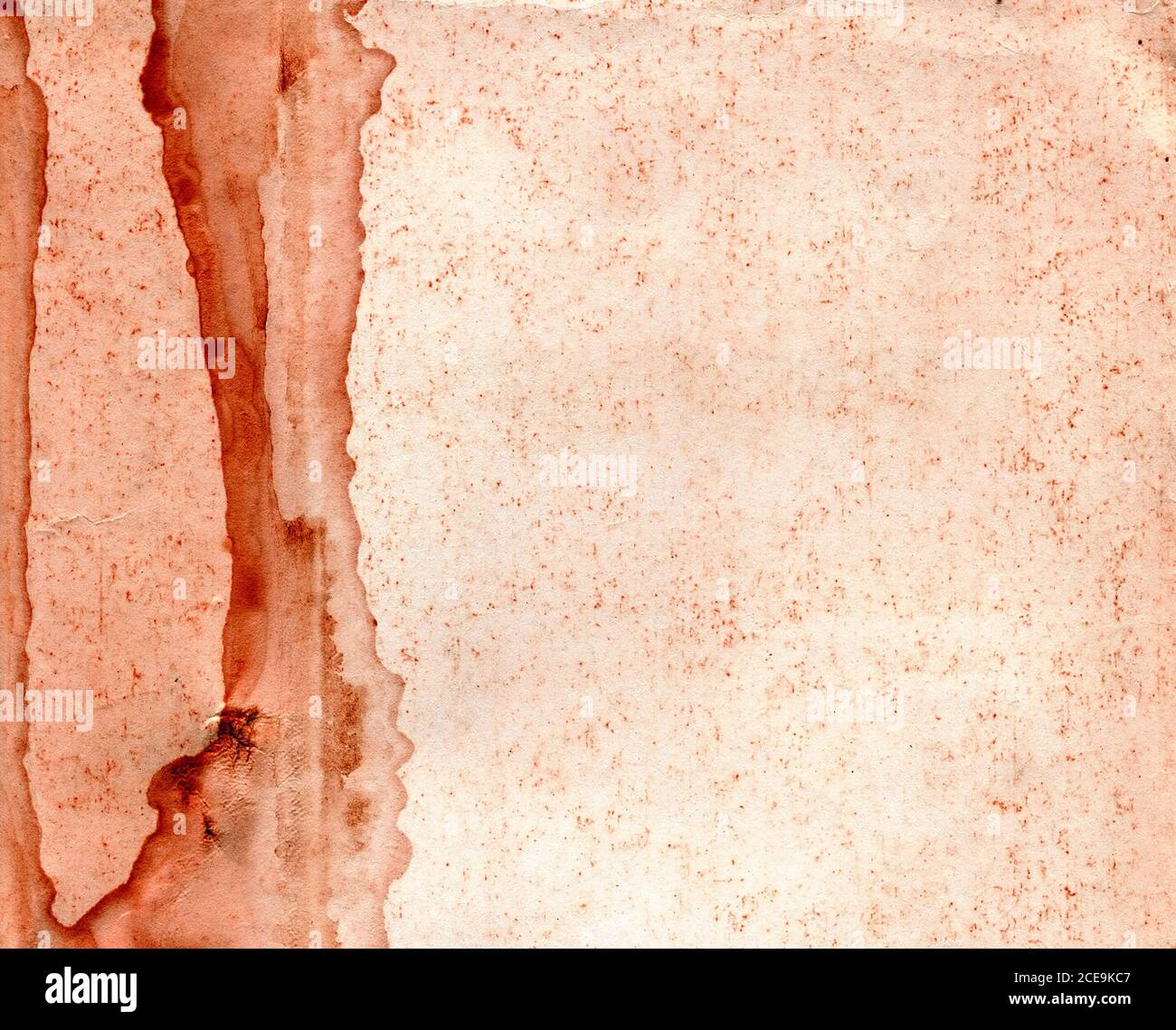 sheet of the old paper Stock Photo Alamy