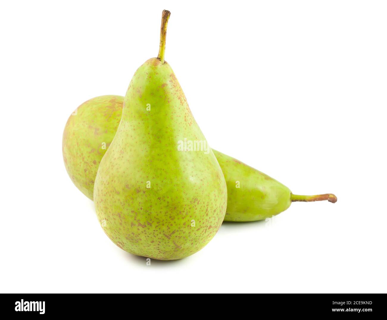 Two green pears Stock Photo