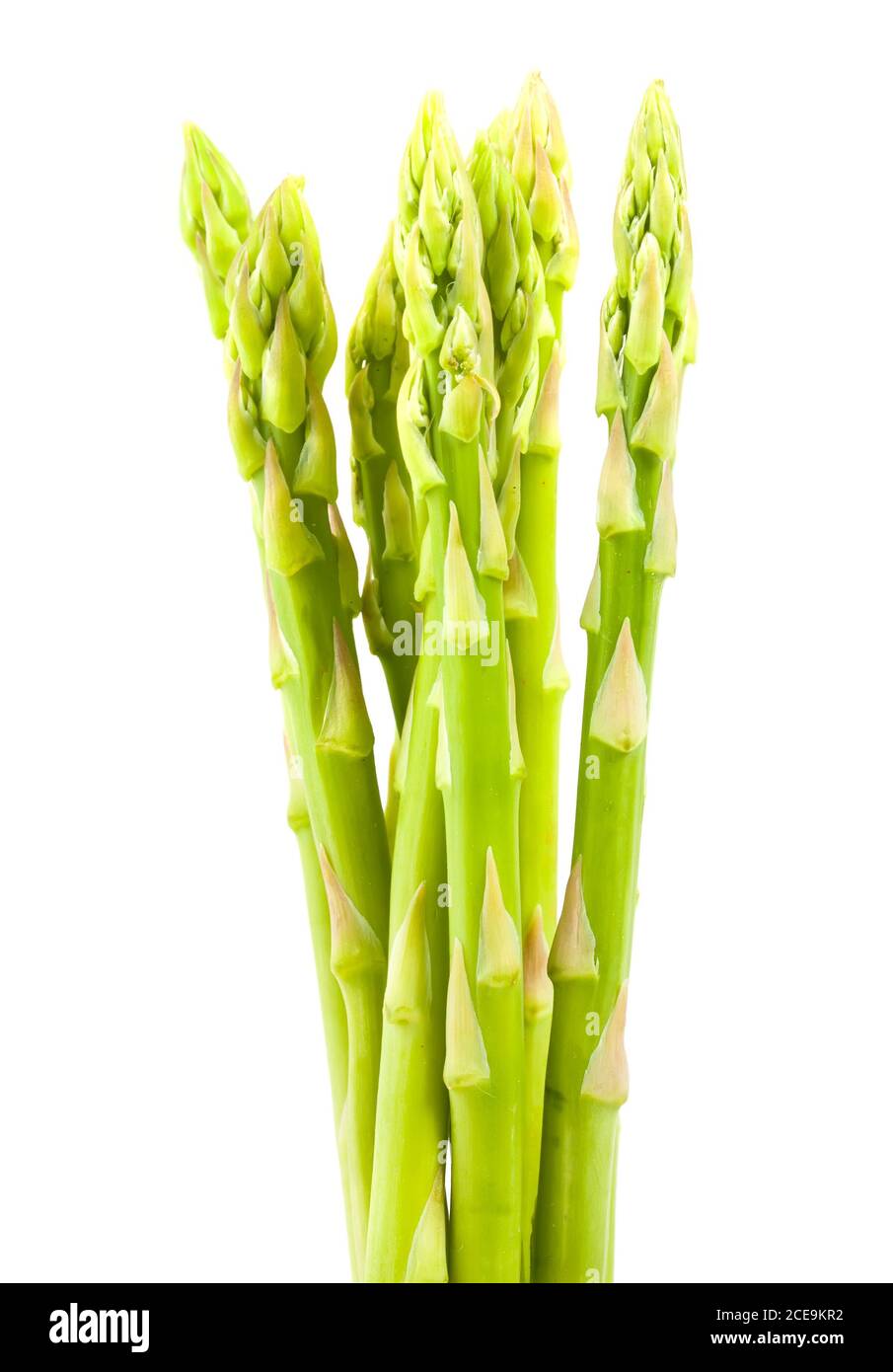 Green ripe asparagus Stock Photo
