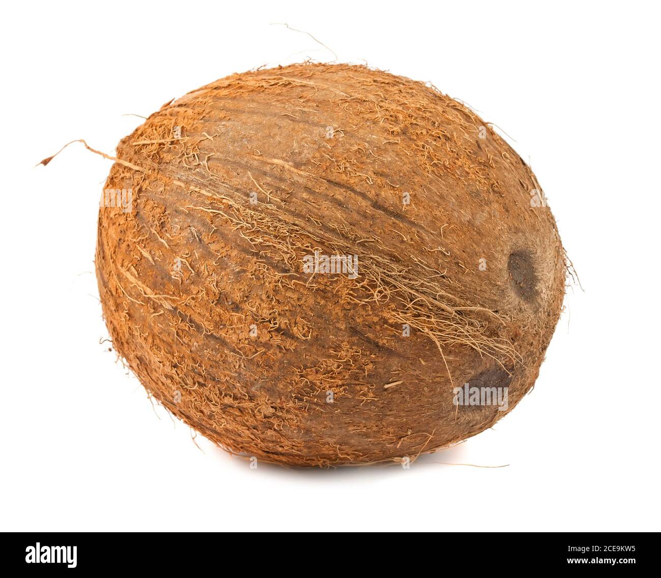 Single coconut on white background Stock Photo
