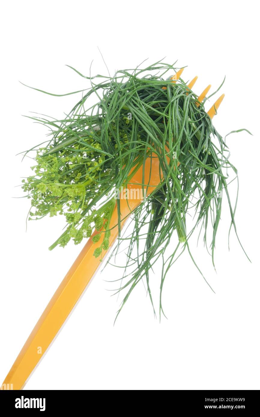 View of Healthy food is grass Stock Photo - Alamy