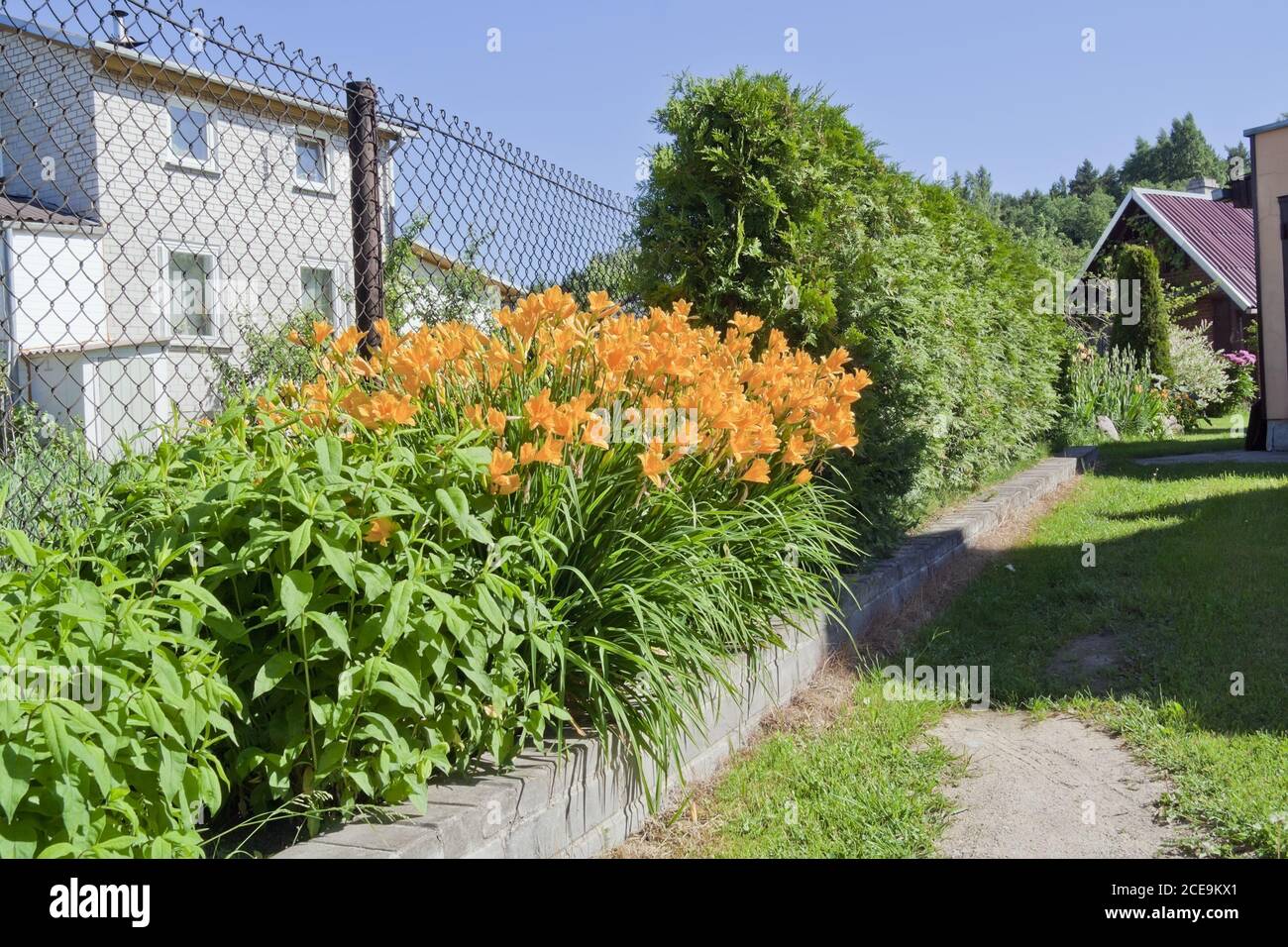 Flowers  near simple rural houses Stock Photo