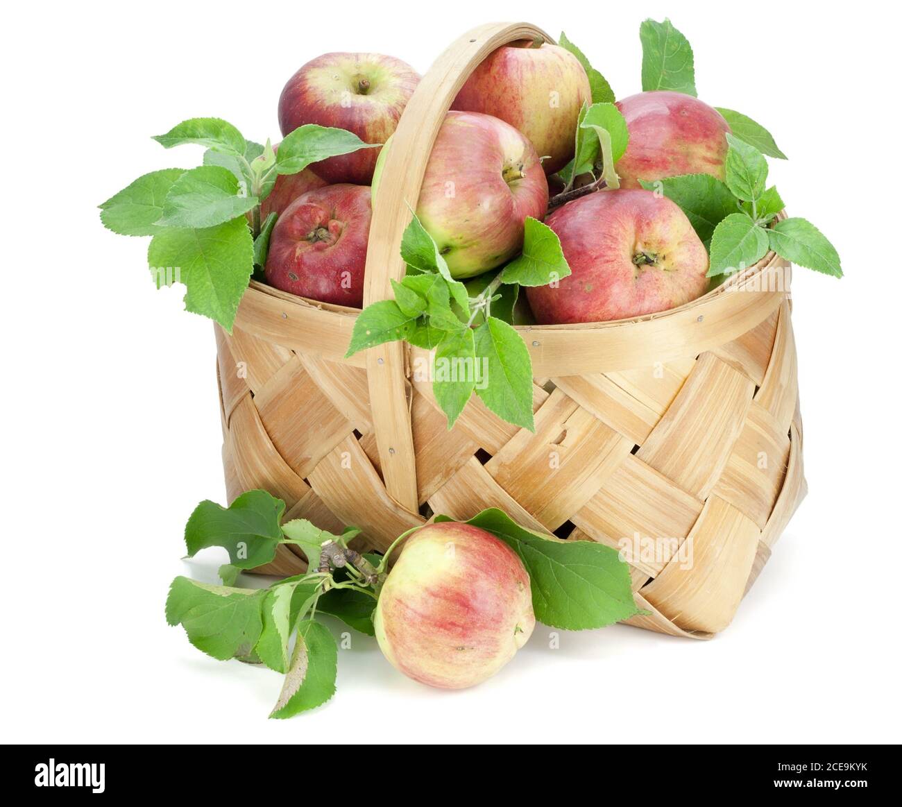 Apples with leaves in basket Stock Photo