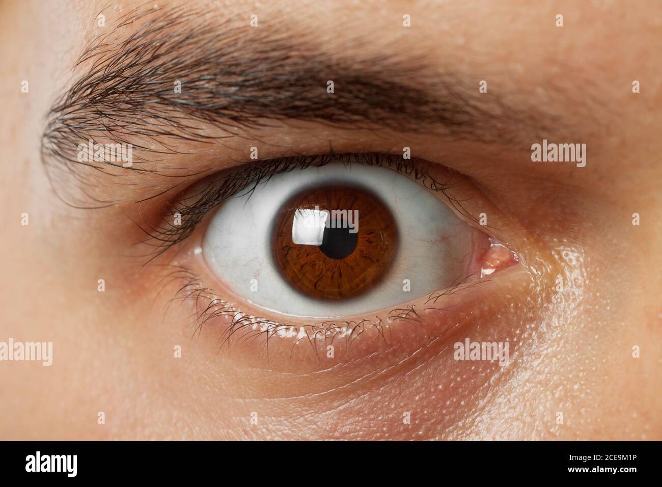 close-up shot of young man brown eye Stock Photo
