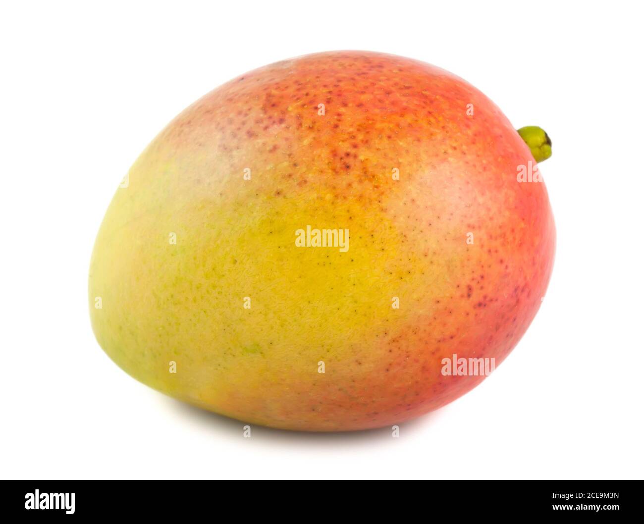 Mango fruit Stock Photo