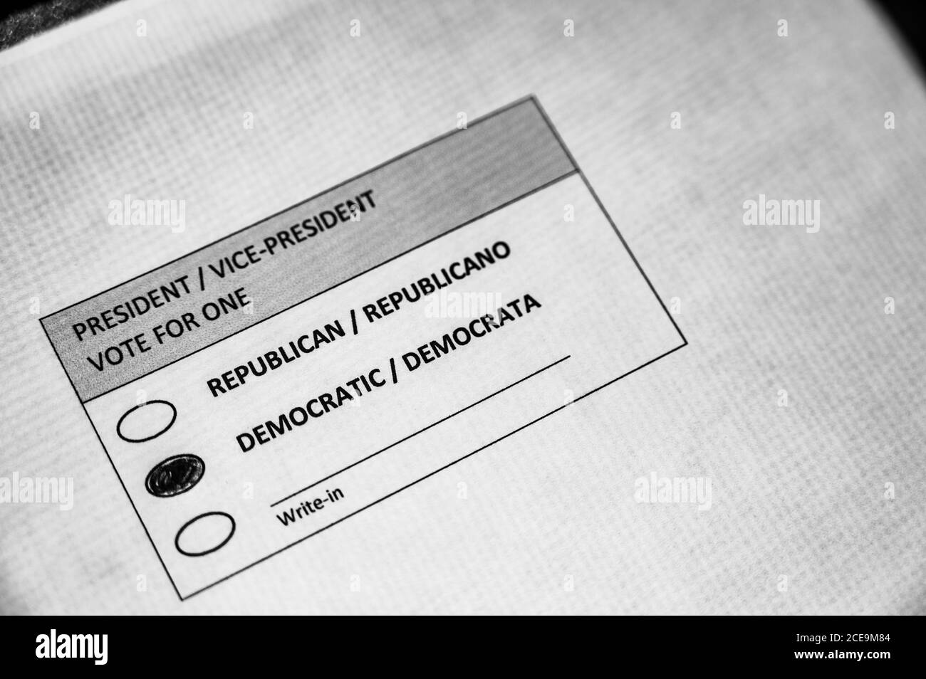 Ballot paper Black and White Stock Photos & Images Alamy