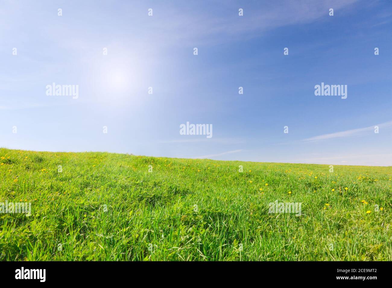Green field under blue sky with sun Stock Photo - Alamy