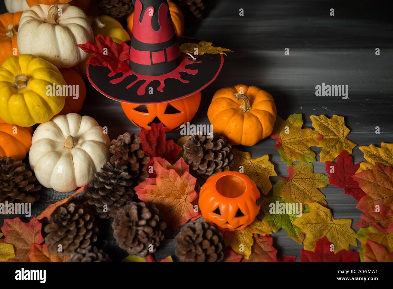A pumpkin wearing a Halloween witch hat with maple leaves on dark background. Stock Photo