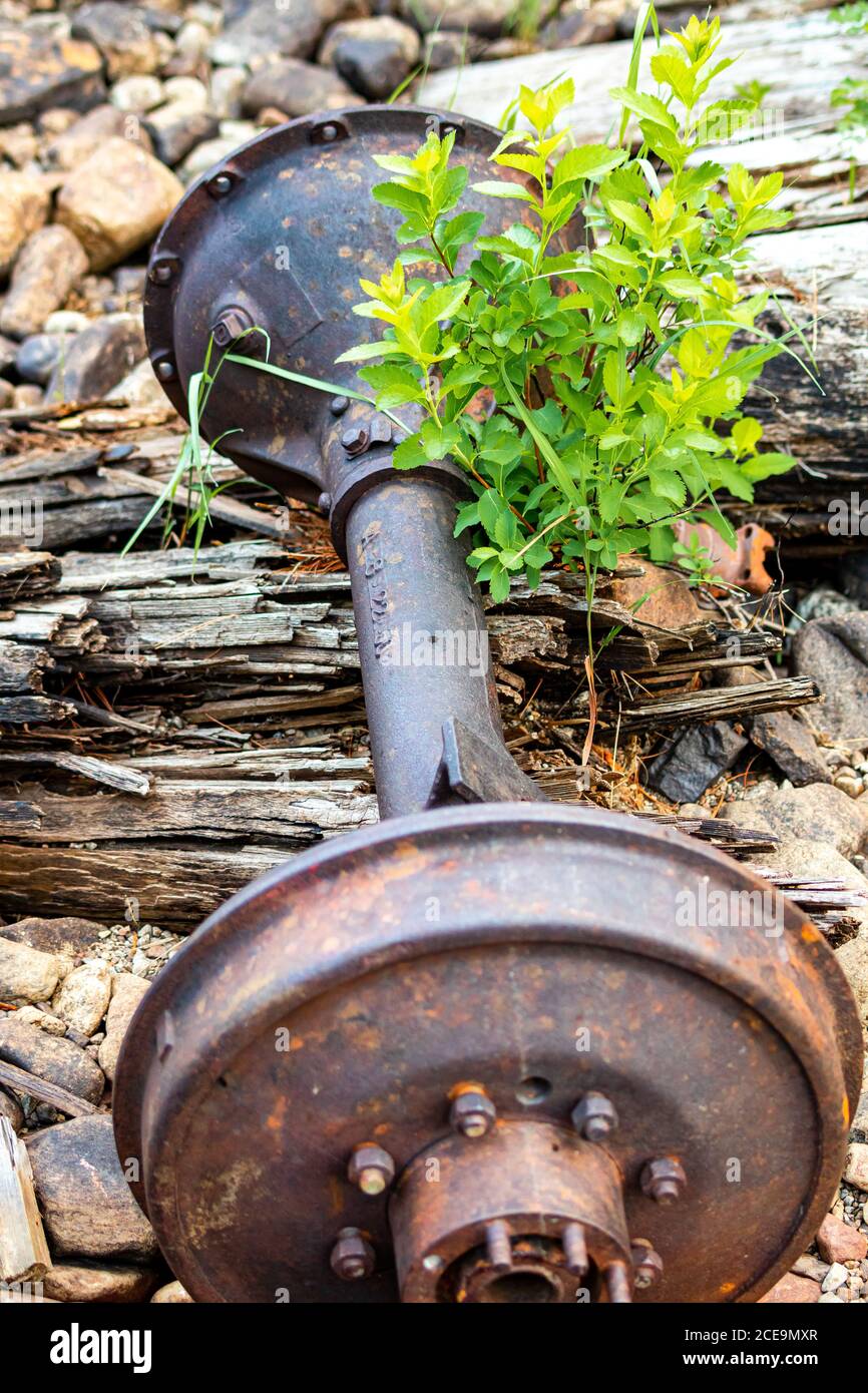 Old rusty vehicul differential and wheel hub left in the forest. Looks like an old Timken rear end. Stock Photo