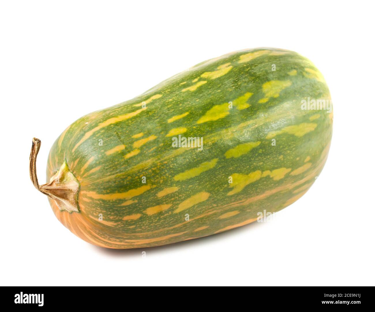 Green squash Stock Photo
