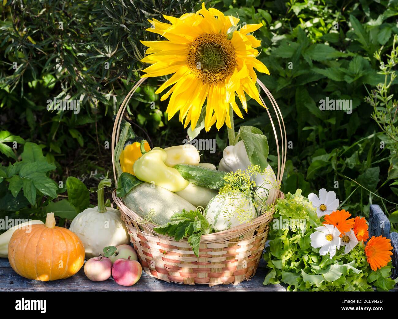 Harvest seasonal vegetables in a wicker basket Stock Photo - Alamy