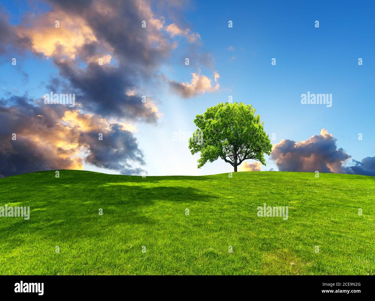 At green park hi-res stock photography and images - Alamy