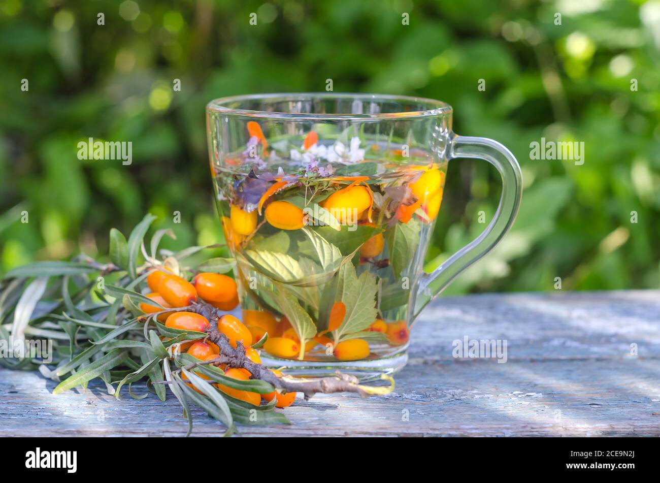 Herbal tea with lemon balm and sea buckthorn in the sun. Stock Photo