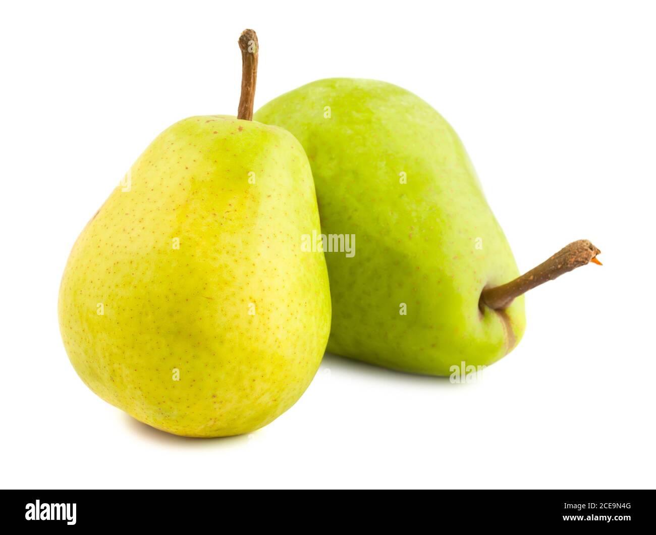 Two ripe pears Stock Photo
