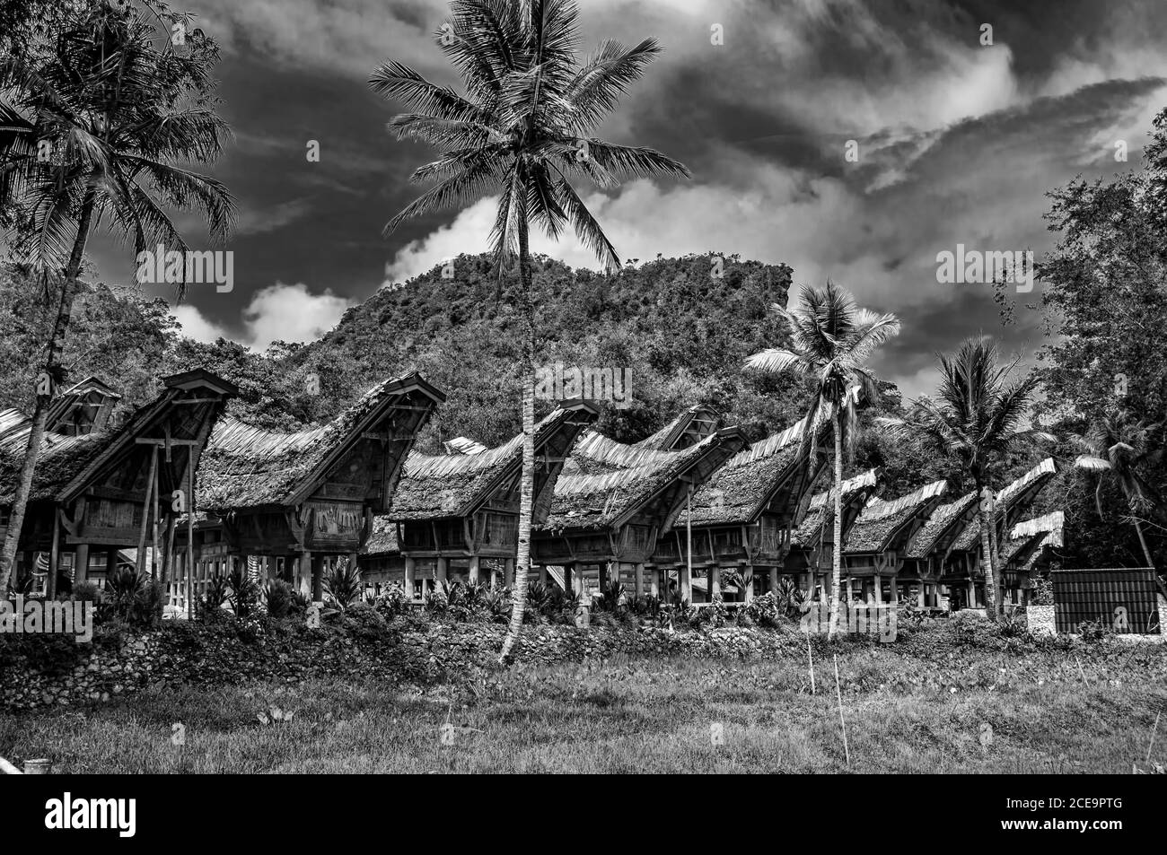 Kete'kesu, traditional Toraja village, Tona Toraja, South Sulawesi, Great Sunda Islands, Indonesia Stock Photo