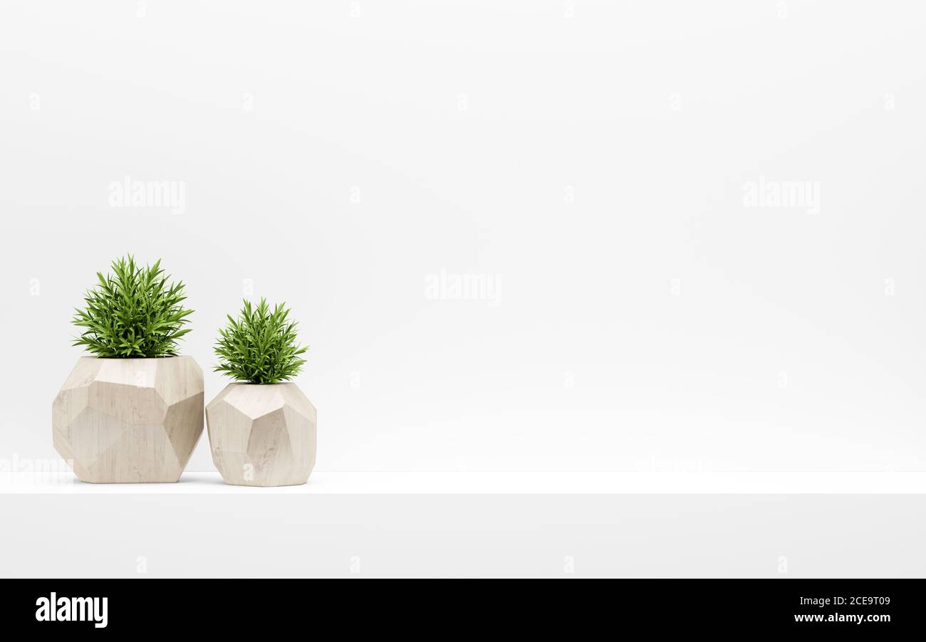 green plants in wooden pots on white shelf Stock Photo
