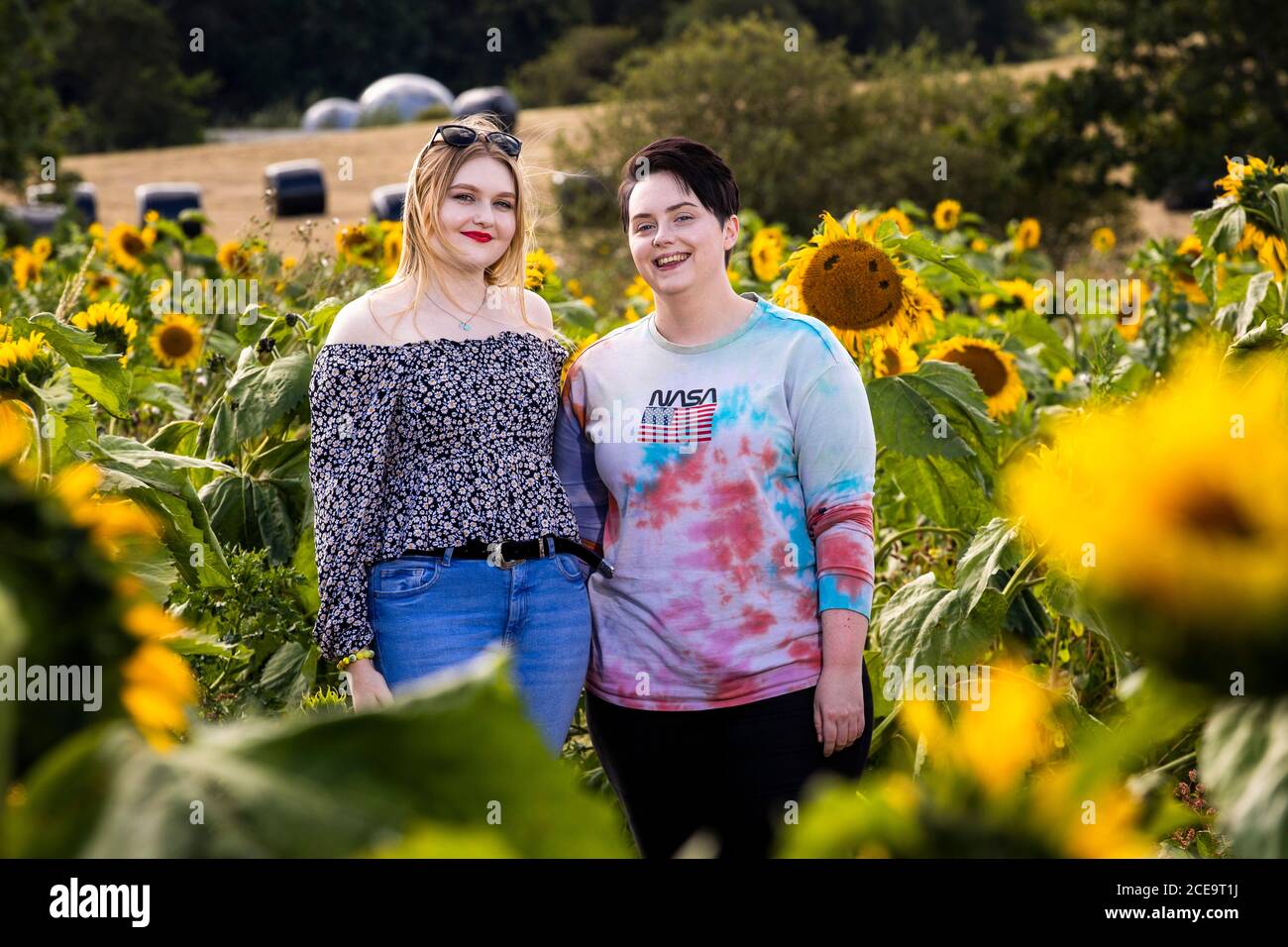 Lauren Robb (left) and Catherine Crozier from Belfast pictured together during a day trip at the Sunflower Field Portglenone, on Bank Holiday Monday in Northern Ireland. The Sunflower Field is grow annually and the owners asking for a small fee to enter with proceeds this year for Versus Arthritis. Stock Photo