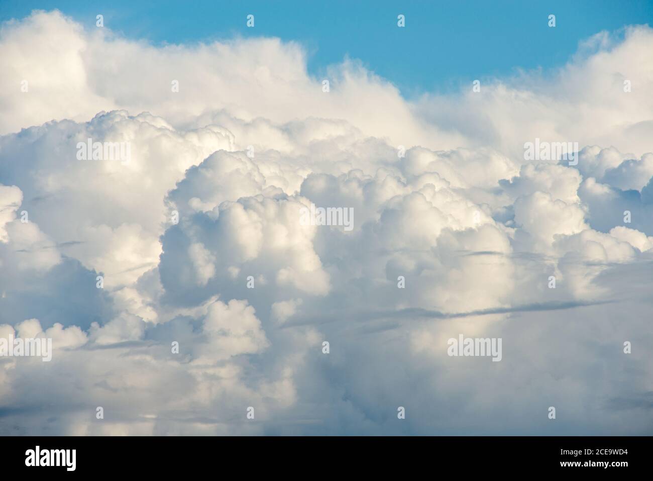 divine sky. clear blue sky with Cumulus clouds before a thunderstorm ...