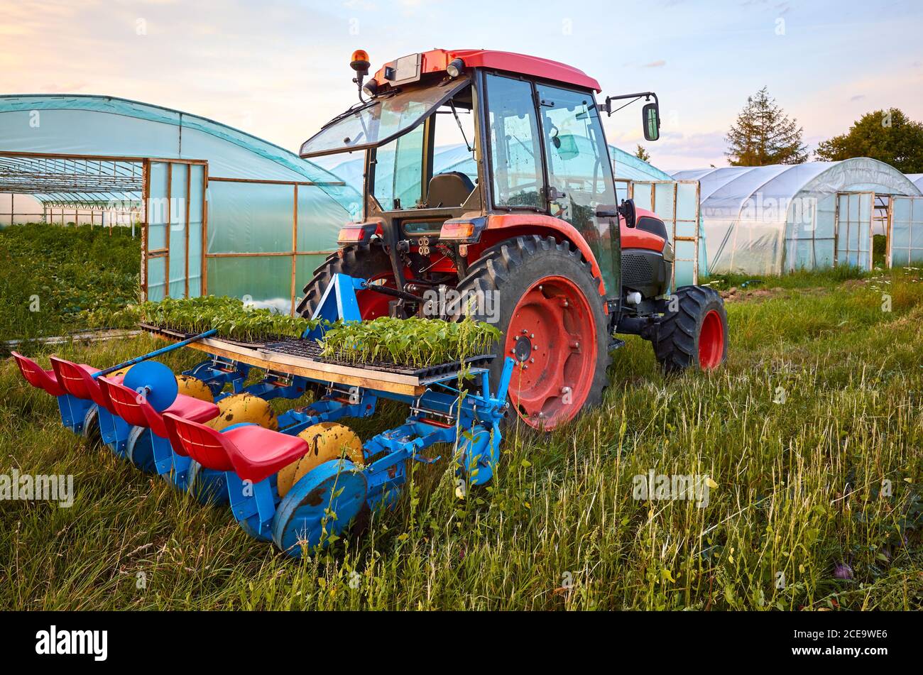 Manual seedling planter mounted to a tractor in front of greenhouses at sunset. Stock Photo