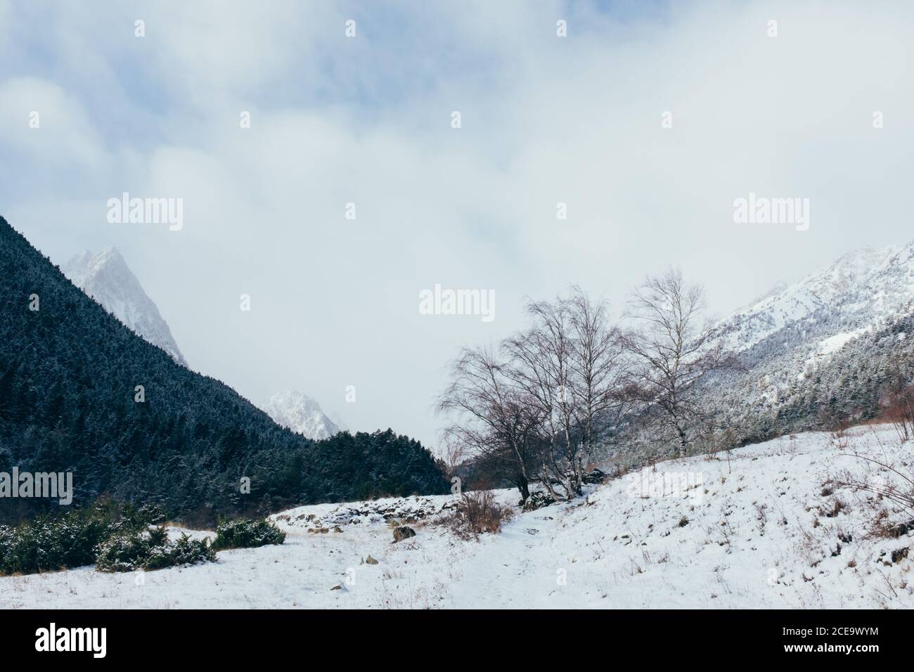 Idyllic snowed mountain landscape on cloudy sky. Copyspace. Stock Photo