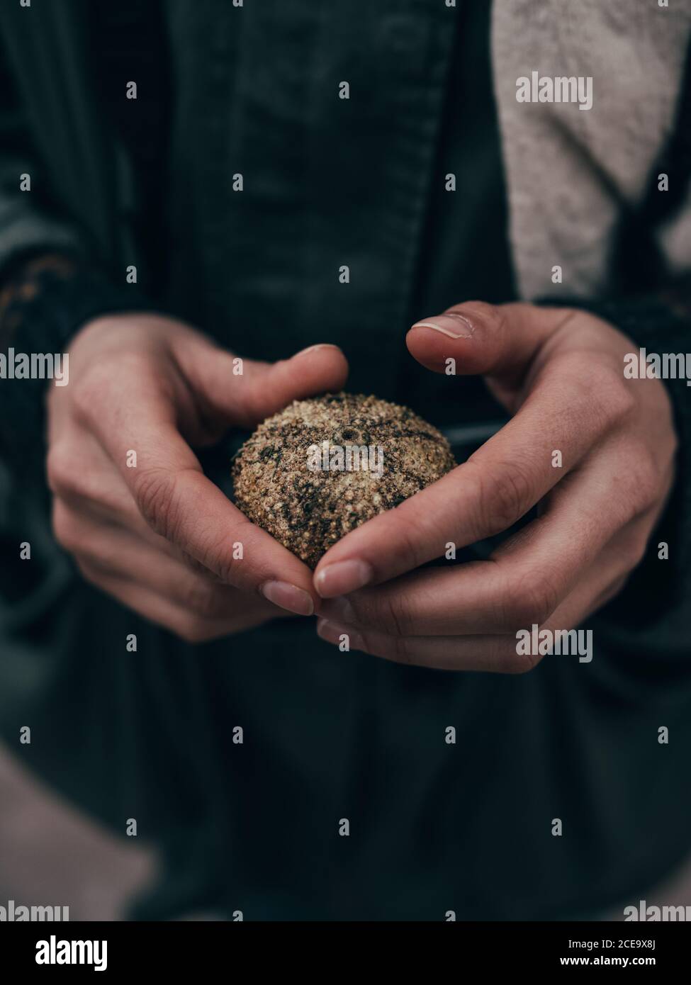 Hand holding conch shell hi-res stock photography and images - Alamy