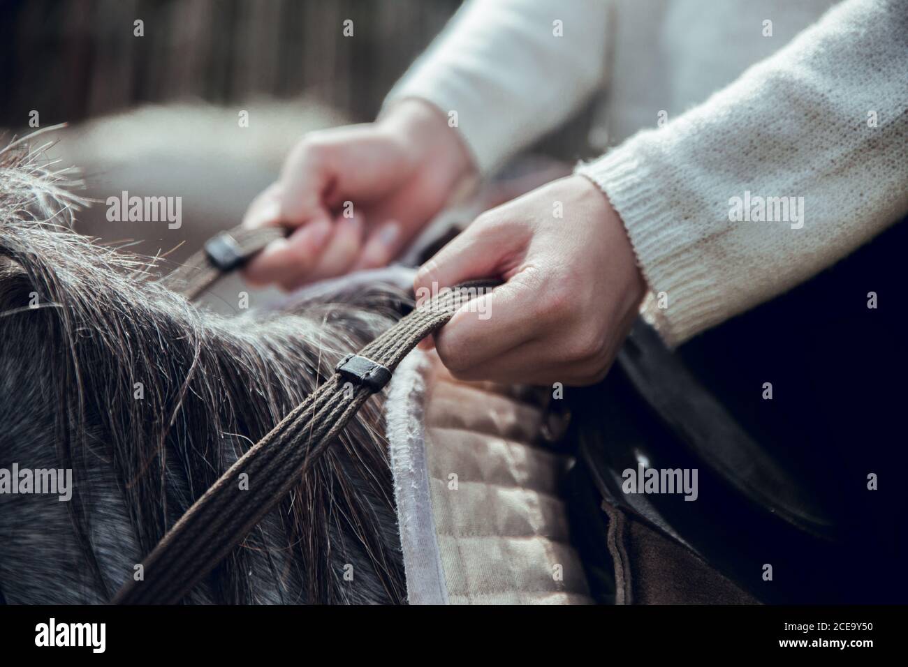 unrecognizable young female holding reins while sitting on back of horse in countryside Stock Photo