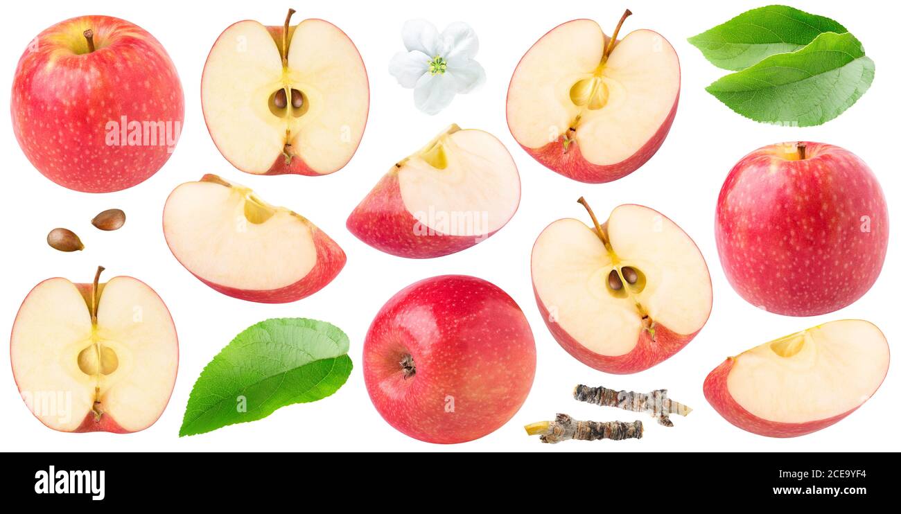 Isolated red apples. Collection of whole and cut  red apples of dofferent shapes, leaves and apple blossom isolated on white background Stock Photo