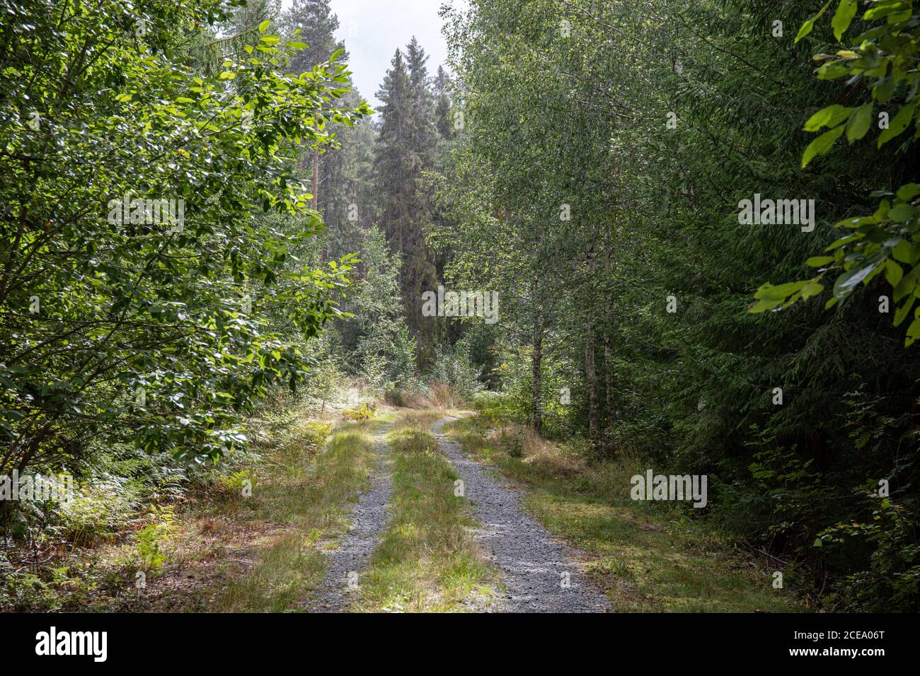 Narrow road in nature hi-res stock photography and images - Alamy
