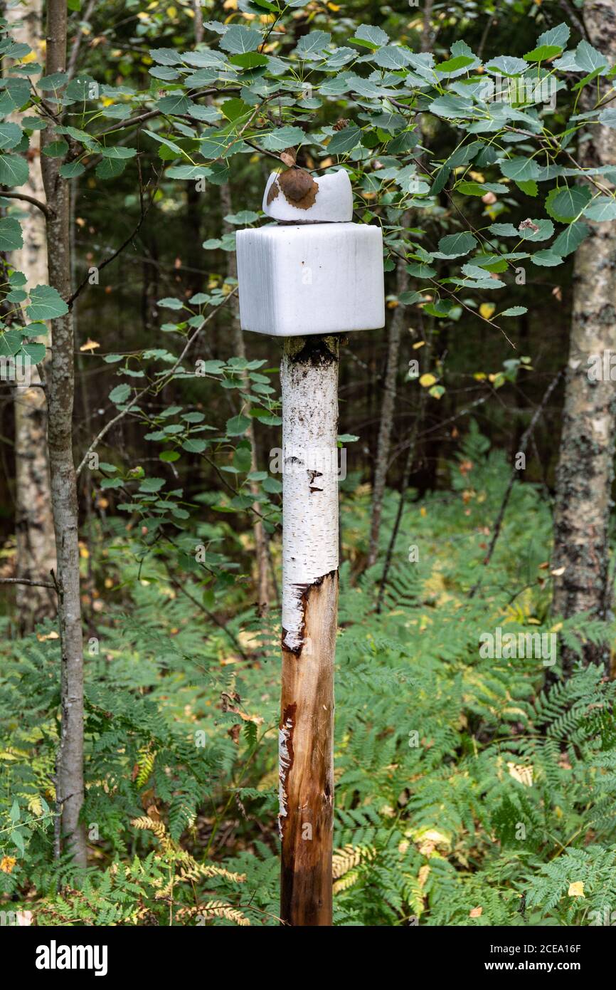 Salt lick block hires stock photography and images Alamy
