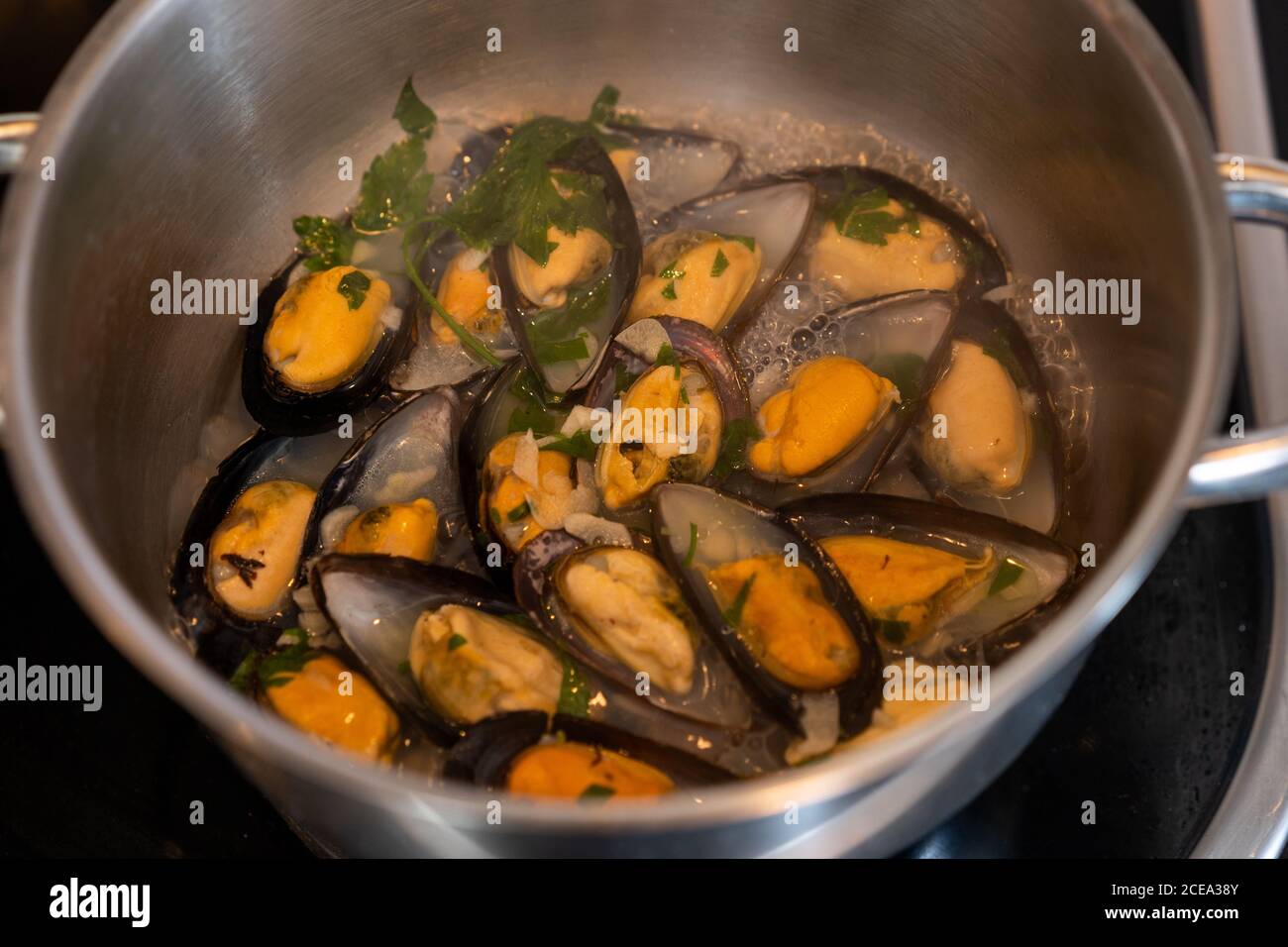 Delectable mussels with herbs boiling in big metal saucepan in kitchen Stock Photo