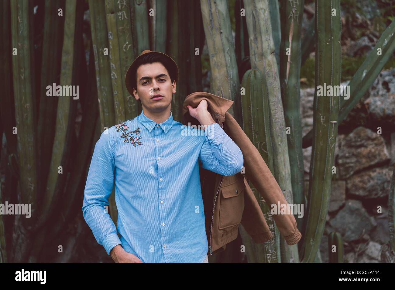 Thoughtful young handsome man at cactus Stock Photo