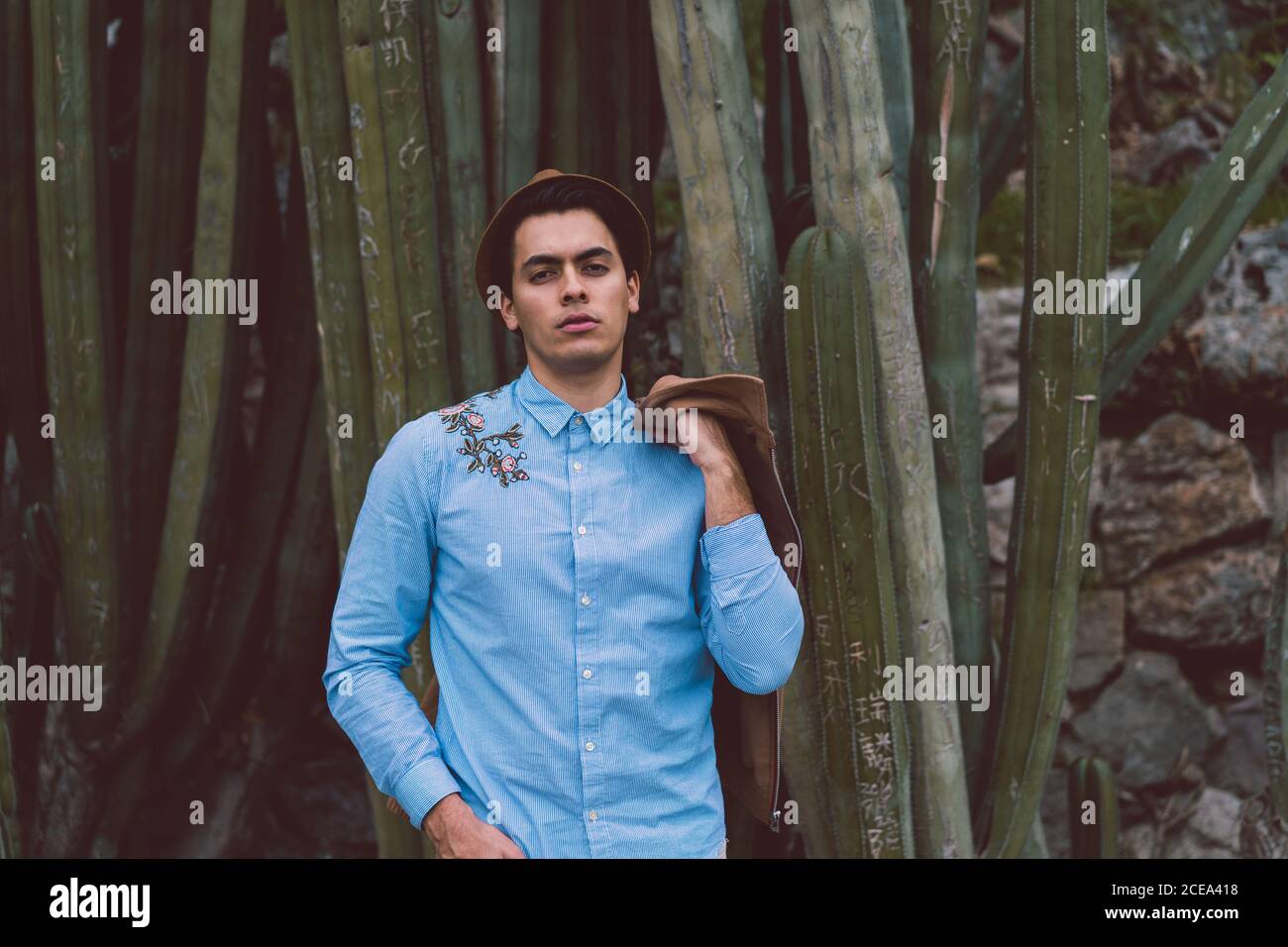 Thoughtful young handsome man at cactus Stock Photo