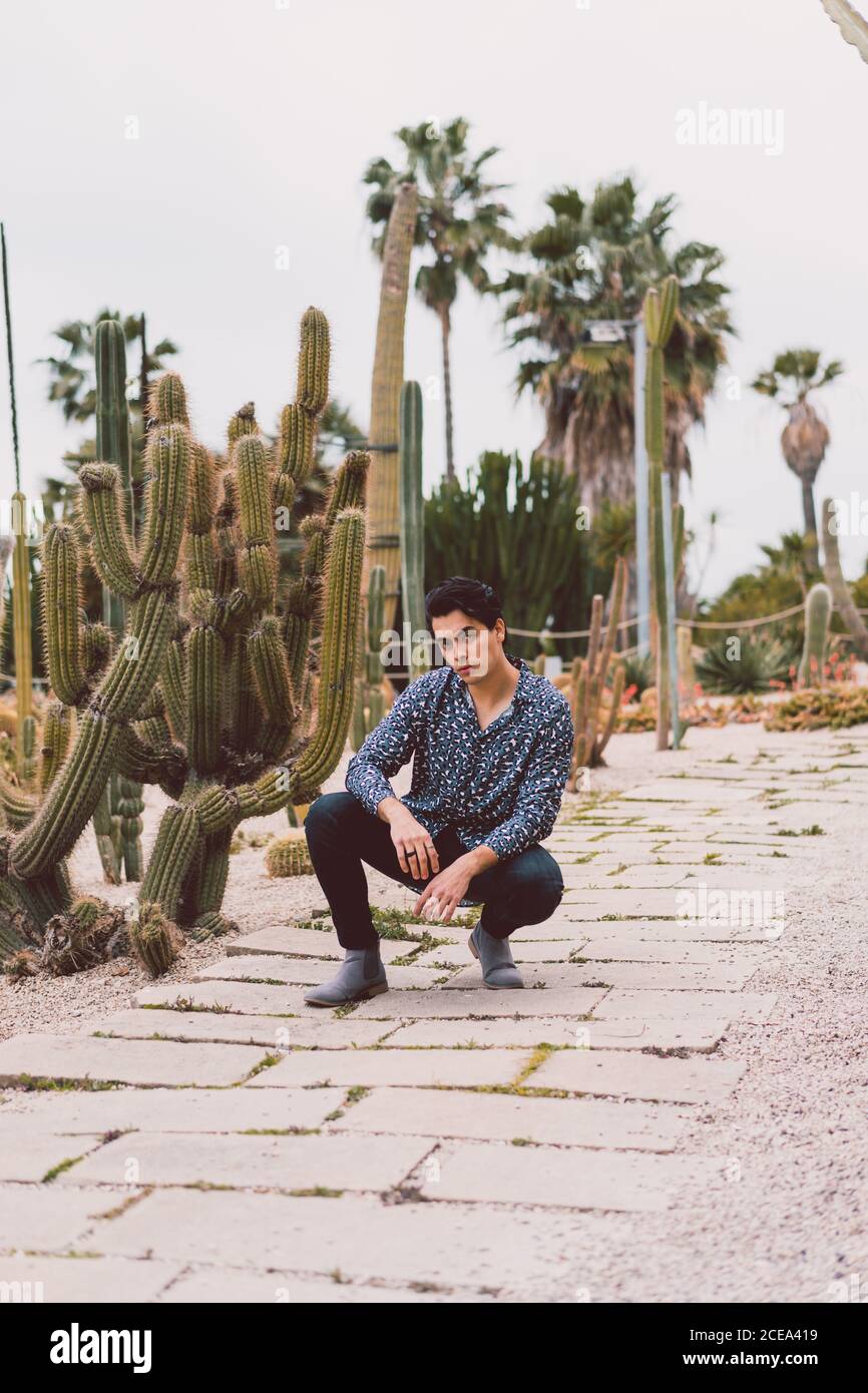 Young man sitting at cactus Stock Photo