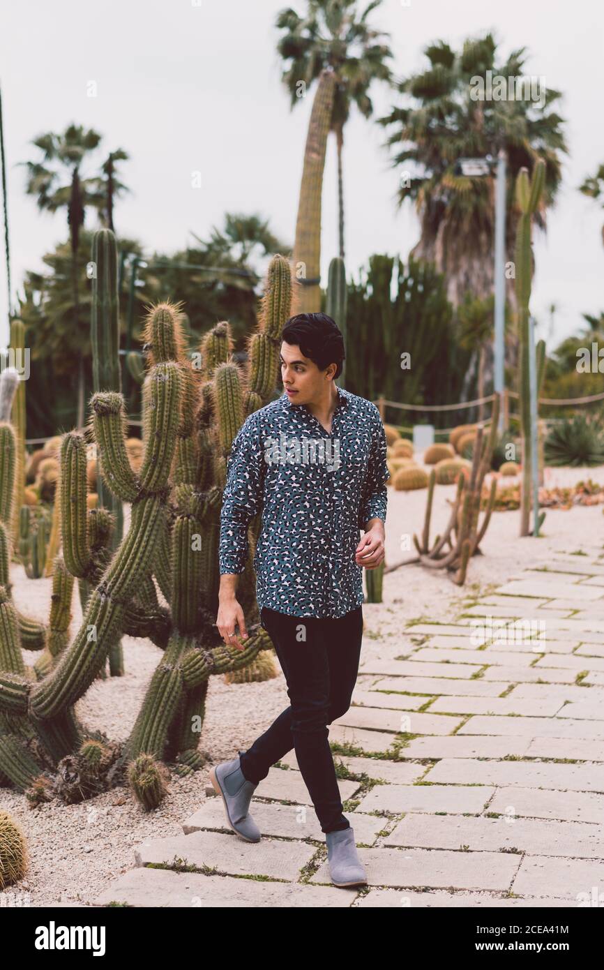 Young man posing at cactus Stock Photo