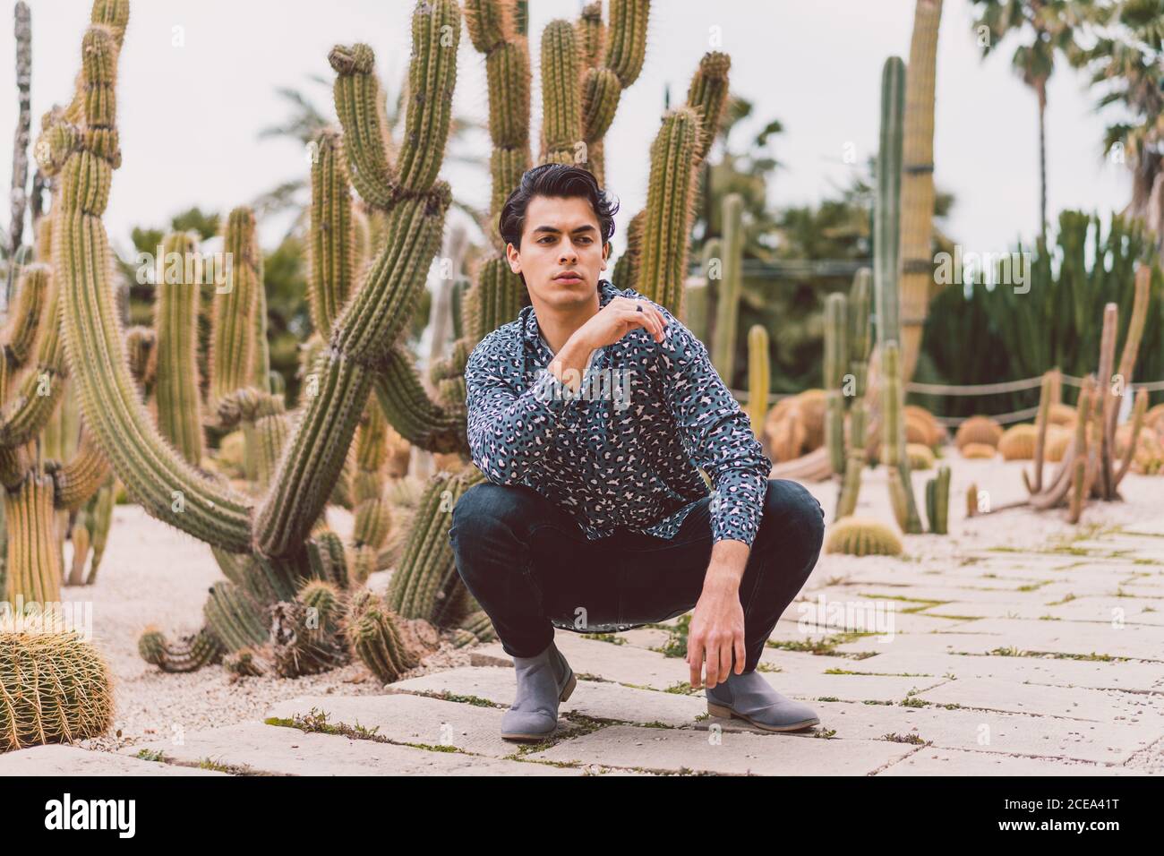 Young man sitting at cactus Stock Photo