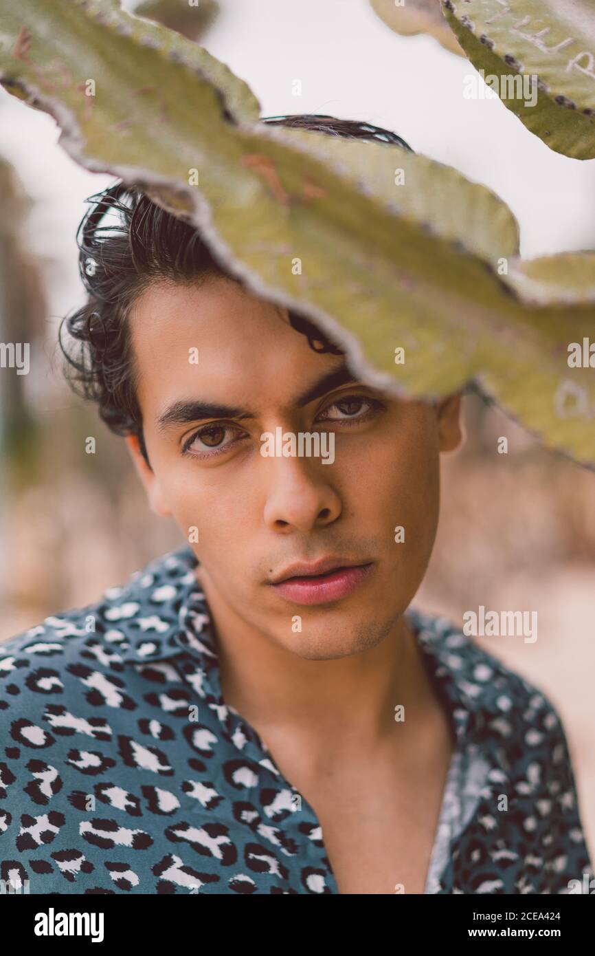 Handsome young man at cactus Stock Photo