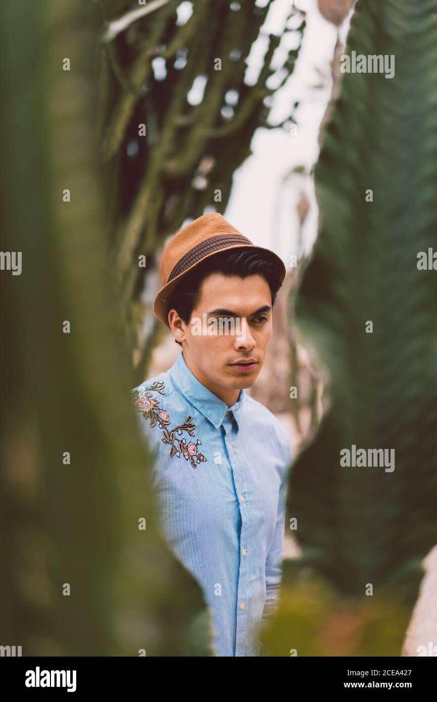 Thoughtful young handsome man at cactus Stock Photo